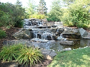 Western Michigan [2009] 266